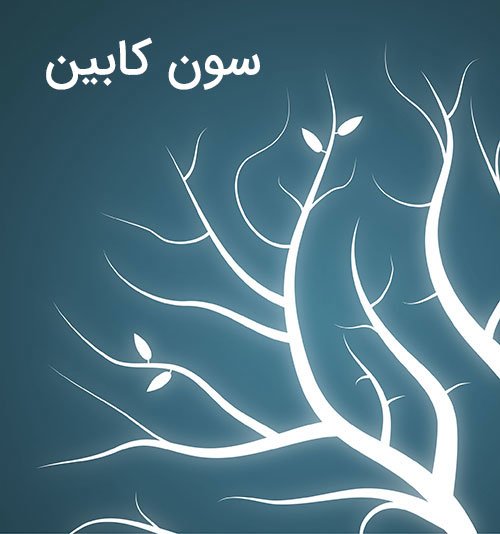 آموزش فارسی لومیون
